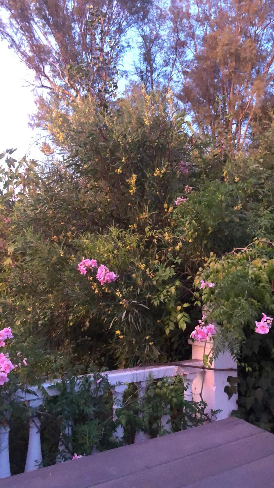 Finca El Rio,, La Casita One Of 2 Self Catering Studios. Pool And Hydrotherapy Jacuzzi มาลากา ภายนอก รูปภาพ
